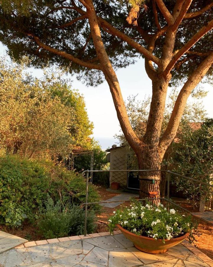San Bartolomeo  Il Gelso B&B 외부 사진