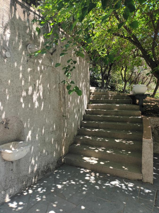 San Bartolomeo  Il Gelso B&B 외부 사진