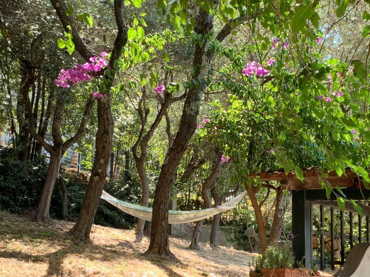 San Bartolomeo  Il Gelso B&B 외부 사진