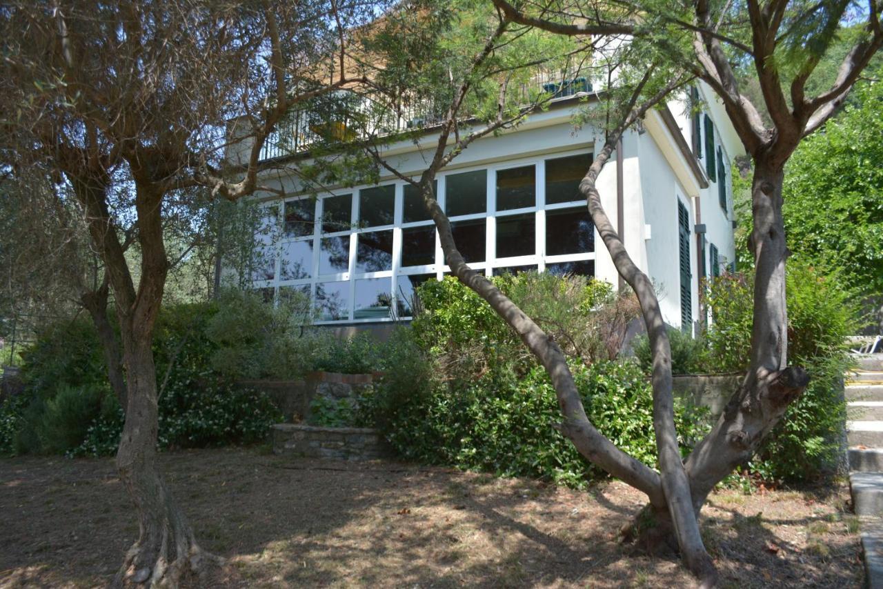 San Bartolomeo  Il Gelso B&B 외부 사진