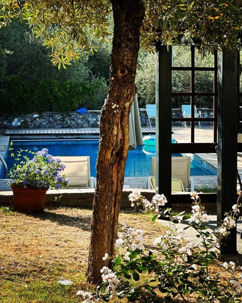 San Bartolomeo  Il Gelso B&B 외부 사진