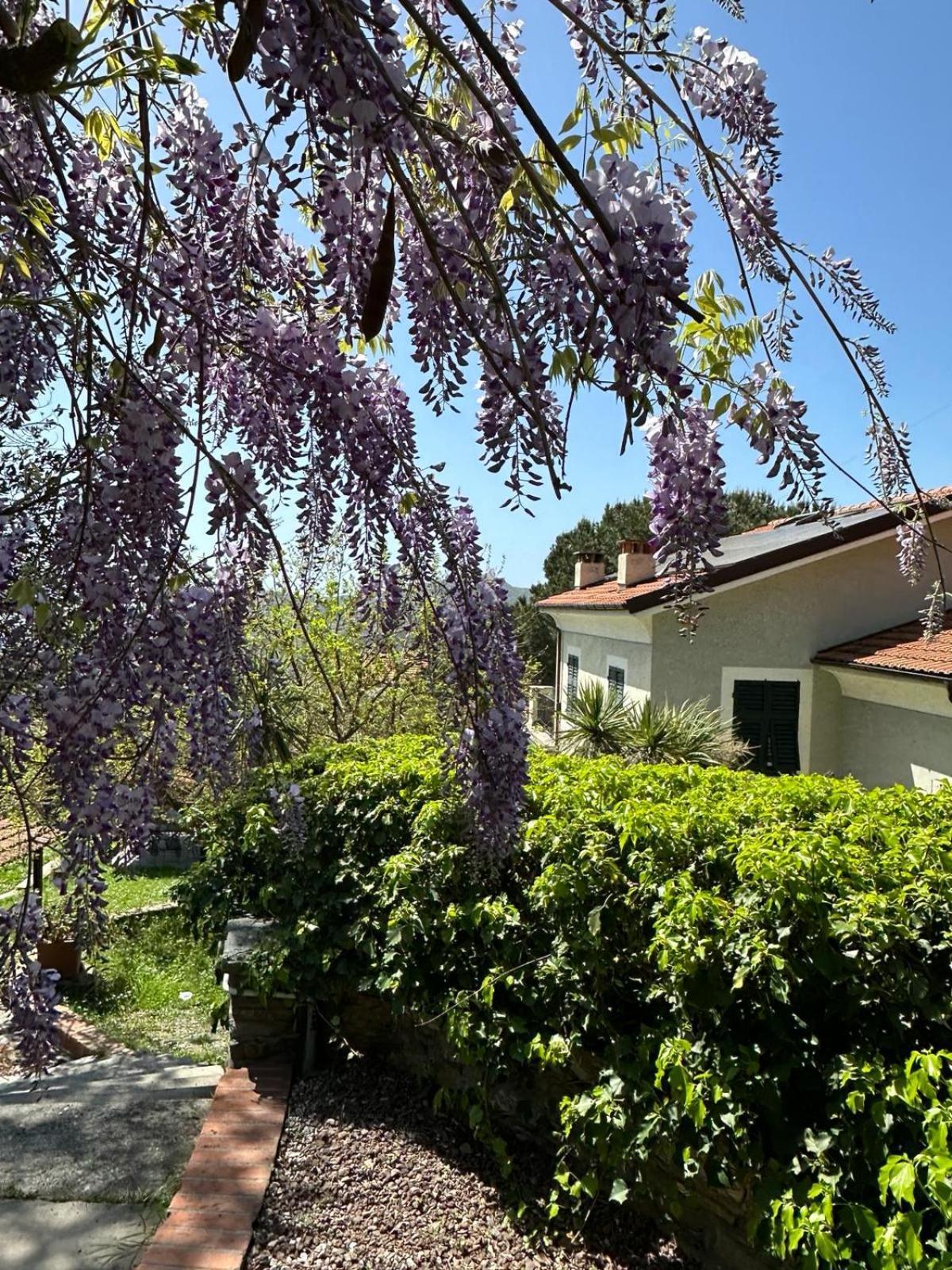 San Bartolomeo  Il Gelso B&B 외부 사진